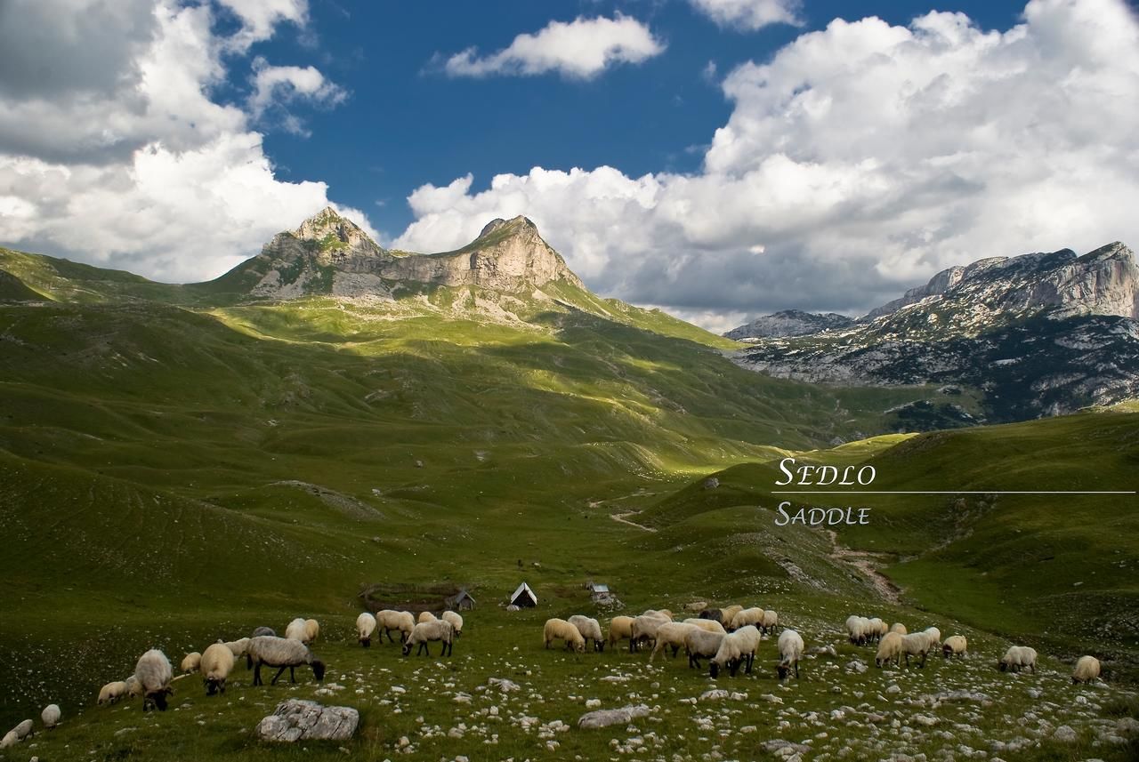 Апартаменты Apartments Peaks Жабляк-41