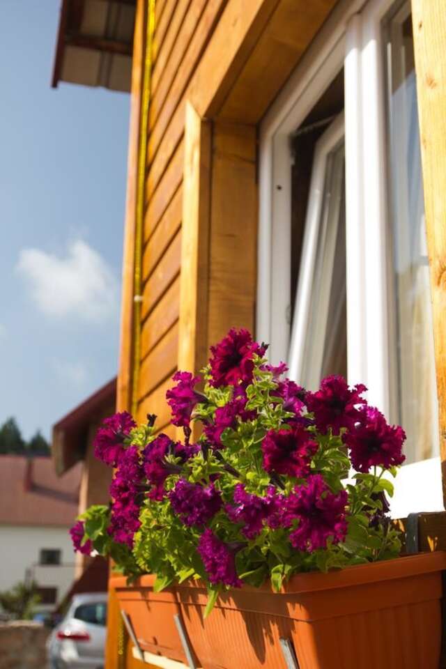 Апартаменты Apartments Peaks Жабляк-36