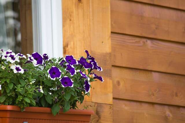 Апартаменты Apartments Peaks Жабляк-37